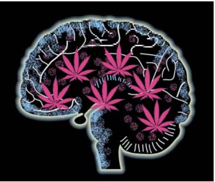 'Canabisul trebuie legalizat!', Foto: Hotnews