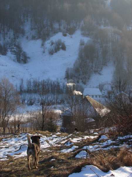 Rosia Montana, Foto: Hotnews