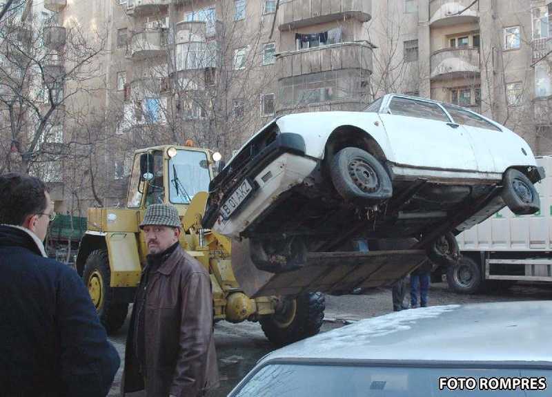 Se va umple Romania de rable?, Foto: AGERPRES