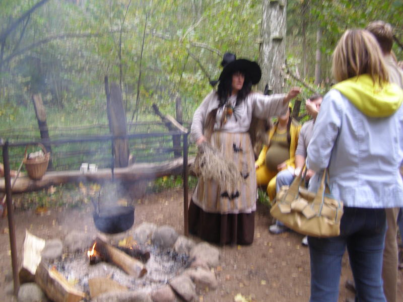 Vrajitoarea din Padurea Tervete - Letonia, Foto: USER UPLOADED