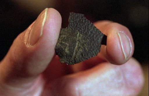 Fragment dintr-un ou de dinozaur, Muzeul din New Mexico, Foto: Hotnews