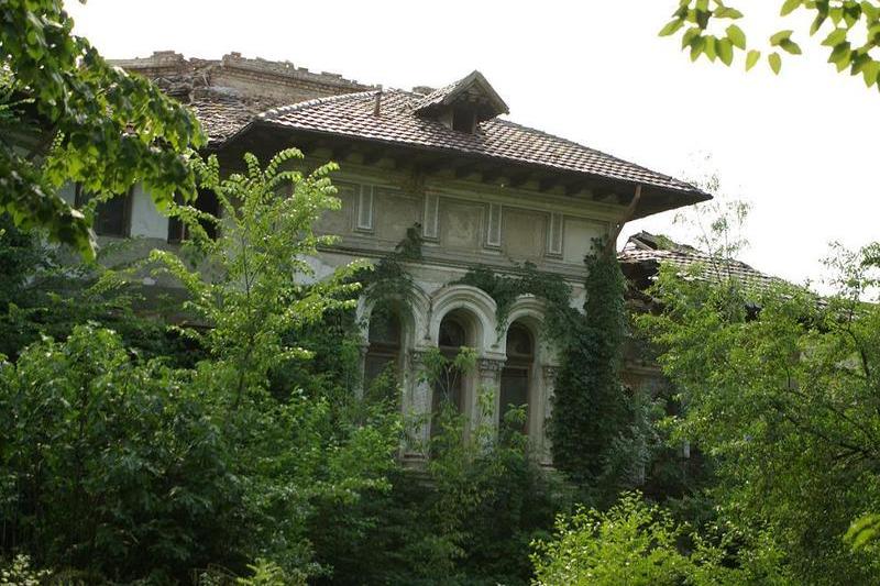 Casa din Kiseleff 35-37 (1), Foto: HotNews.ro