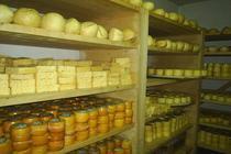 Branzeturi ecologice