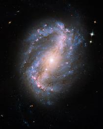Galaxia spiralata NGC 6217