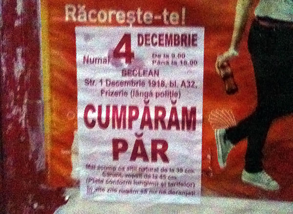 Saracie, Foto: USER UPLOADED