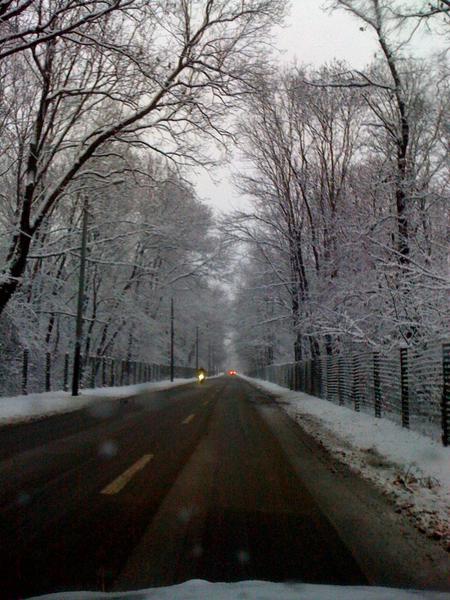 Timisoara, Foto: USER UPLOADED