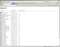 cristianpreda.ro-captura foto