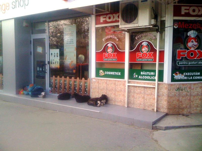 Bucuresti capitala europeana ?, Foto: USER UPLOADED