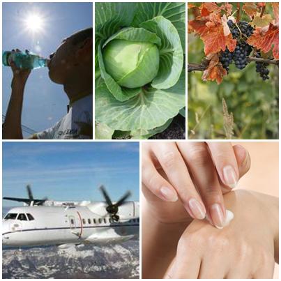 Utile, Foto: Colaj foto