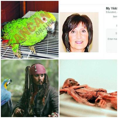 Faze Tari, Foto: Hotnews