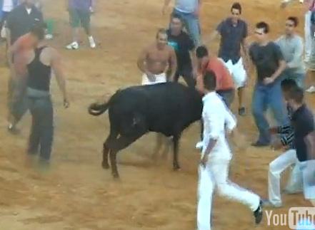 Taurul a fost batut, Foto: Hotnews