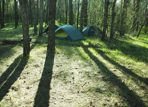 In mijlocul naturii, Foto: PhotoExpress