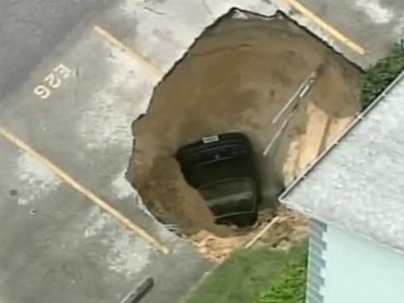 Gaura in Tampa, Foto: Captura Youtube.com