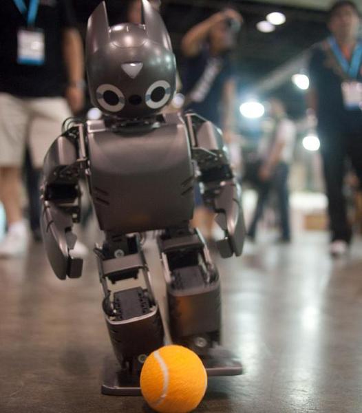 RoboCup 2010, Foto: www.oxsy.ro