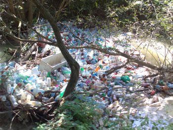 peturi, Foto: USER UPLOADED