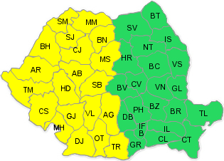 Cod galben, Foto: ANM