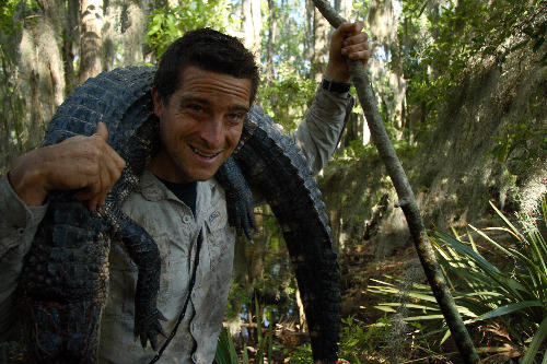 Bear Grylls cu un aligator, Foto: Discovery Channel