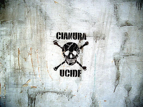 Cianura, Foto: Flickr