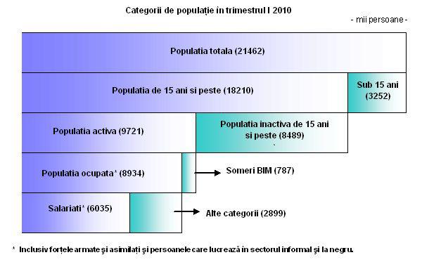 787.000 someri in primul trimestru din 2010, Foto: INS