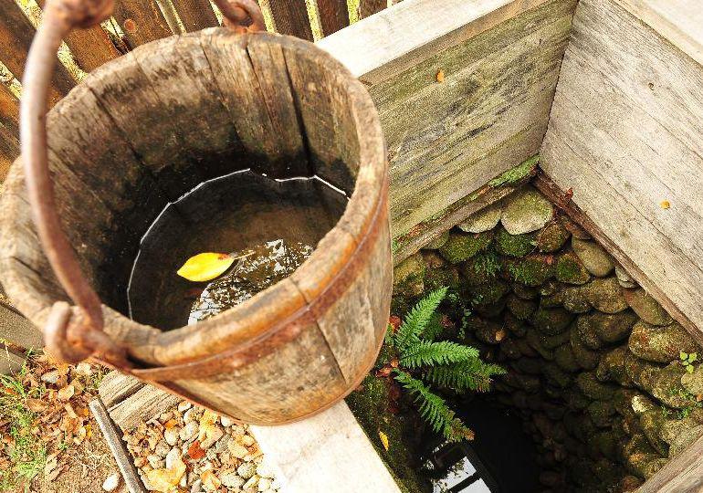 Despre viata la tara, Foto: Agerpres