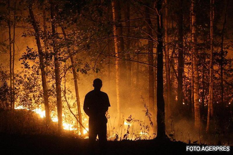 Imagini dramatice, Foto: Agerpres