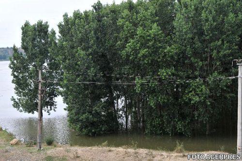 verde, Foto: Agerpres