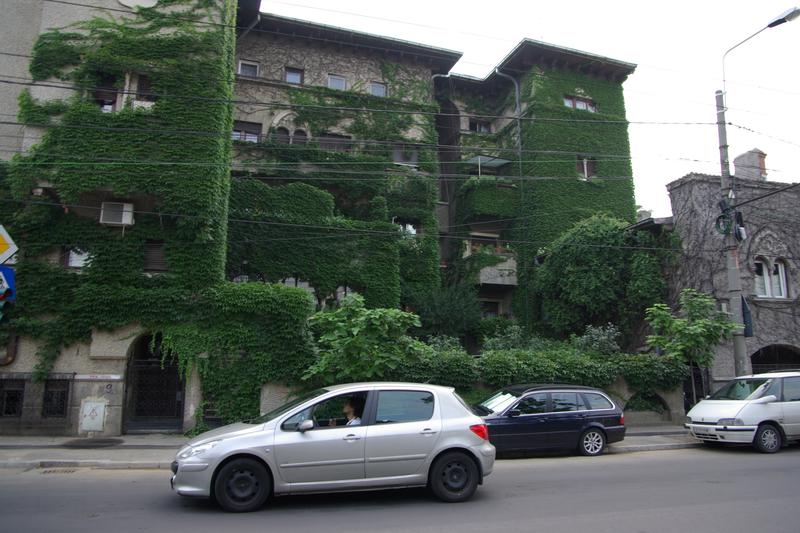 Casa cu iedera in centrul Bucurestiului, Foto: Hotnews