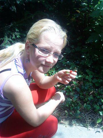 Cu unghii negre la cules de capsuni in Germania, Foto: Hotnews