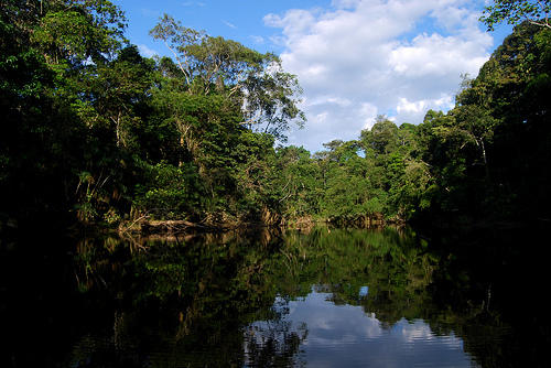 Parcul National Yasuni, Foto: Flickr