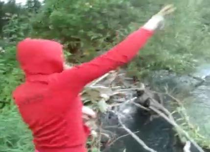 Imagini socante, Foto: Captura LiveLeak