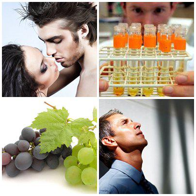 Utile, Foto: Colaj foto