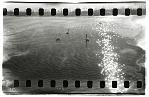 La 30 de ani, Foto: Flickr