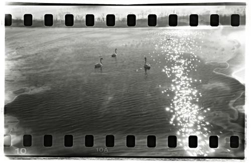 La 30 de ani, Foto: Flickr