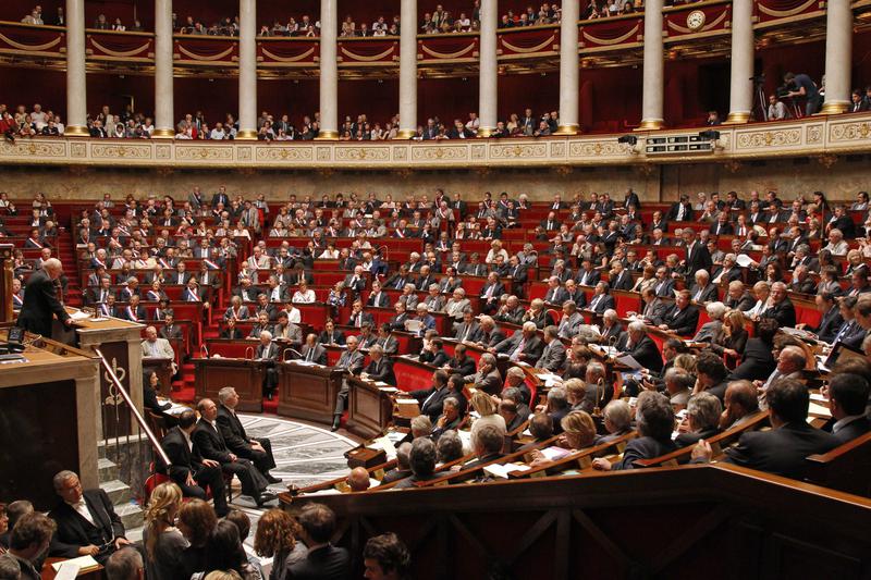 Deputatii francei au votat controversata lege, Foto: Reuters