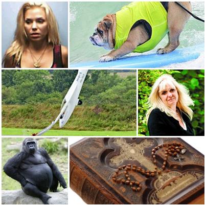 Faze Tari, Foto: Colaj foto