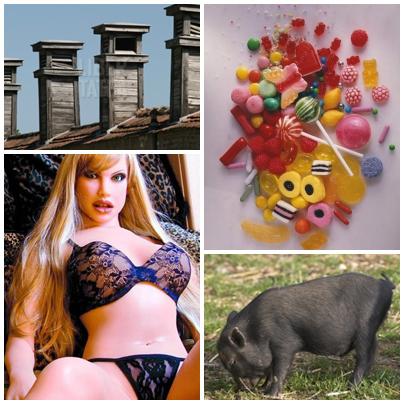 Faze Tari, Foto: Colaj foto