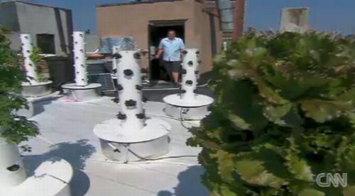 Ferma, Foto: Captura CNN