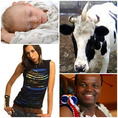 Faze Tari, Foto: Colaj foto