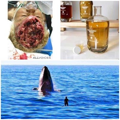 Faze Tari, Foto: Colaj foto