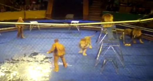 Incident violent, Foto: Captura LiveLeak