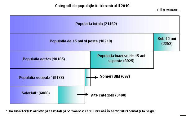 697.000 de someri in trimestrul doi din 2010, Foto: Institutul National de Statistica