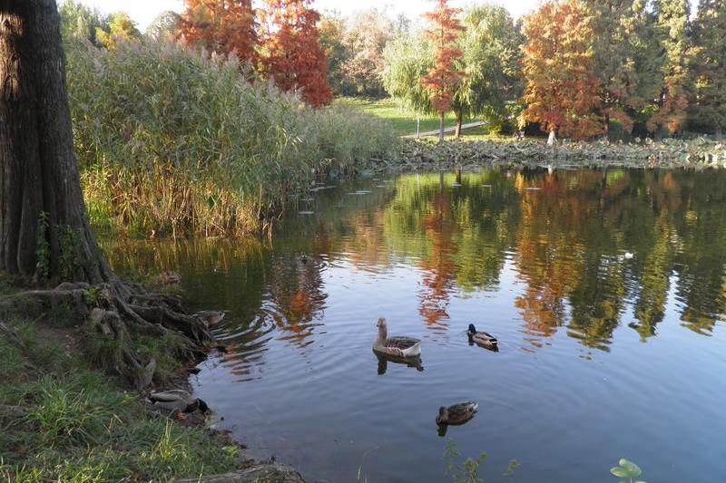 Toamna in Parcul Circului, Foto: USER UPLOADED