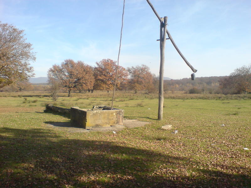 fantana cu cumpana pentru adaparea vitelor la pasune, Foto: USER UPLOADED