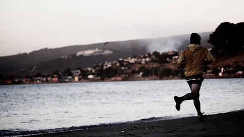 Alergator, Foto: Flickr