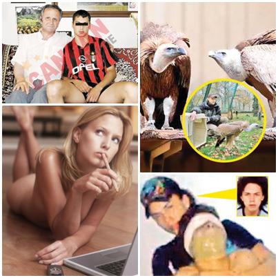 Faze tari, Foto: Colaj foto