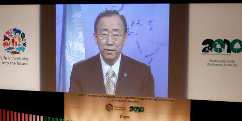 Secretarul general al ONU, Ban Ki-moon, Foto: Reuters