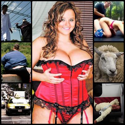 faze tari, Foto: Colaj foto