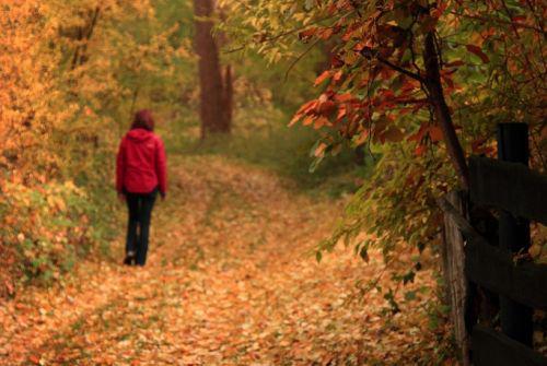 Plimbarea zilnica in parc, Foto: Flickr