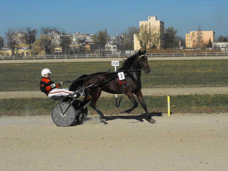 Hipodrom, Foto: USER UPLOADED