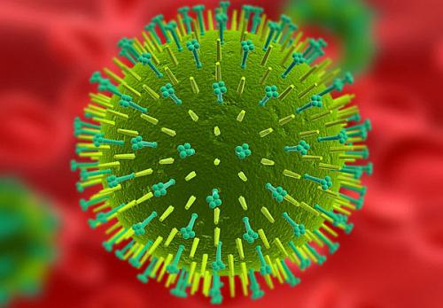 Virus, Foto: istock.com